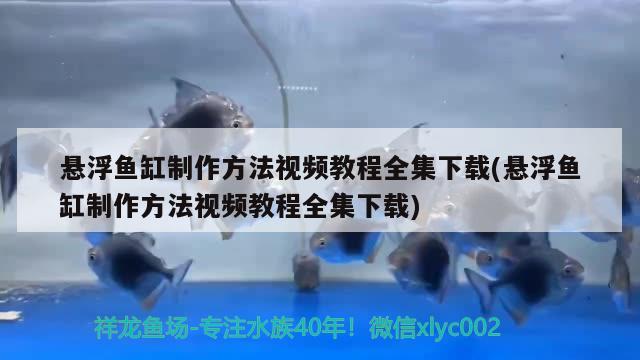 懸浮魚缸制作方法視頻教程全集下載(懸浮魚缸制作方法視頻教程全集下載)