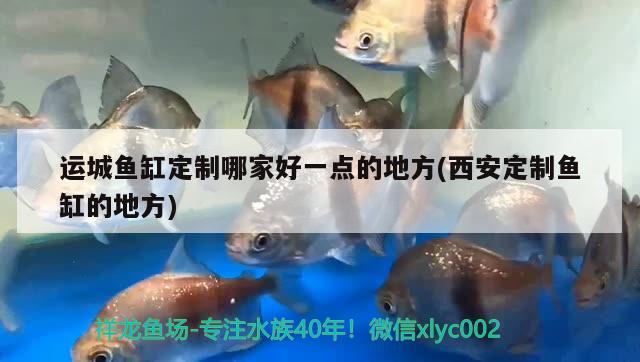 運城魚缸定制哪家好一點的地方(西安定制魚缸的地方) 九鼎魚缸