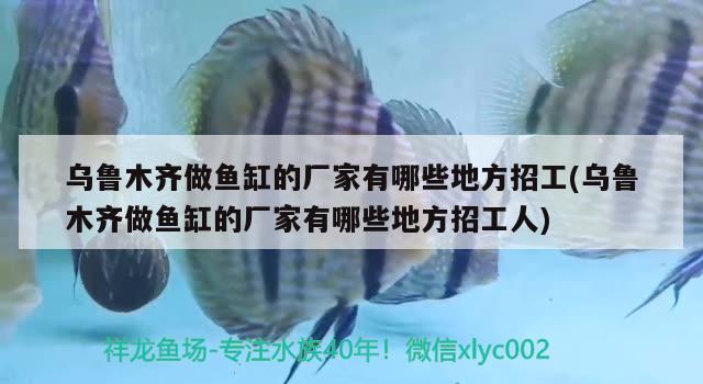 烏魯木齊做魚(yú)缸的廠家有哪些地方招工(烏魯木齊做魚(yú)缸的廠家有哪些地方招工人) 觀賞魚(yú)魚(yú)苗