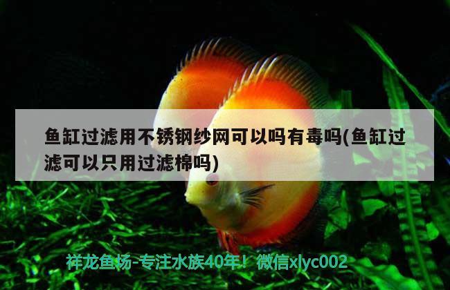 魚(yú)缸過(guò)濾用不銹鋼紗網(wǎng)可以嗎有毒嗎(魚(yú)缸過(guò)濾可以只用過(guò)濾棉嗎)