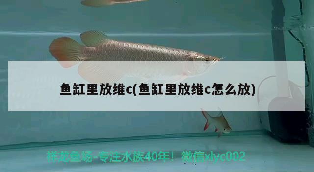 魚缸里放維c(魚缸里放維c怎么放)