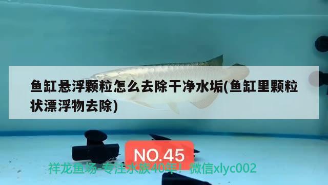 魚缸懸浮顆粒怎么去除干凈水垢(魚缸里顆粒狀漂浮物去除)