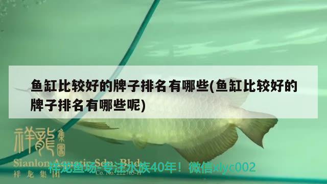 魚(yú)缸比較好的牌子排名有哪些(魚(yú)缸比較好的牌子排名有哪些呢) 帝王迷宮