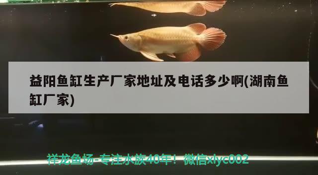 益陽魚缸生產(chǎn)廠家地址及電話多少啊(湖南魚缸廠家)