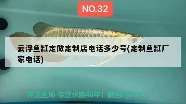 云浮魚缸定做定制店電話多少號(定制魚缸廠家電話) 福魟魟魚