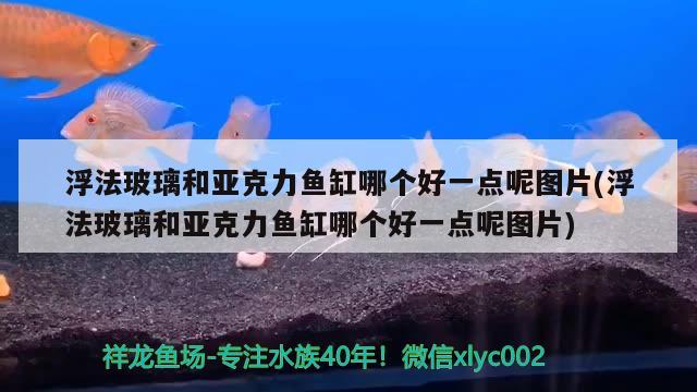 浮法玻璃和亞克力魚缸哪個好一點呢圖片(浮法玻璃和亞克力魚缸哪個好一點呢圖片) 斑馬鴨嘴魚苗