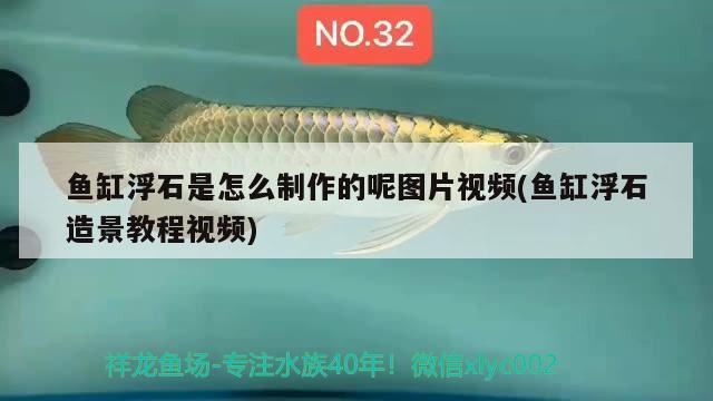 魚缸浮石是怎么制作的呢圖片視頻(魚缸浮石造景教程視頻)