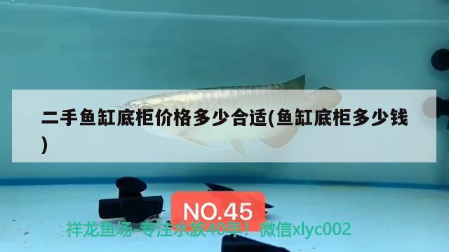 二手魚缸底柜價格多少合適(魚缸底柜多少錢) 龍魚專用燈