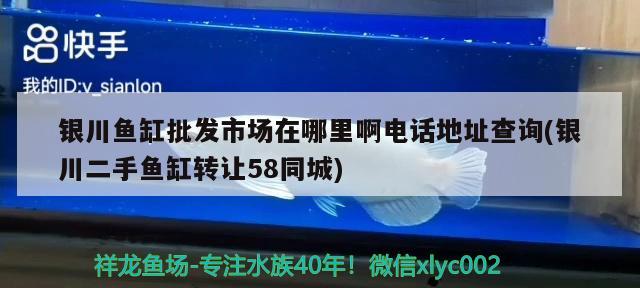 銀川魚缸批發(fā)市場在哪里啊電話地址查詢(銀川二手魚缸轉(zhuǎn)讓58同城)