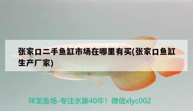 張家口二手魚缸市場在哪里有買(張家口魚缸生產(chǎn)廠家) 祥龍水族濾材/器材