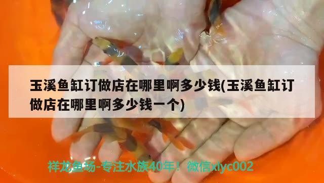 玉溪魚缸訂做店在哪里啊多少錢(玉溪魚缸訂做店在哪里啊多少錢一個) 虎紋銀版魚