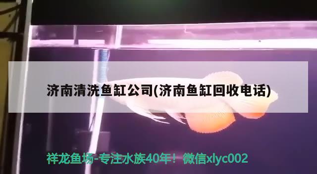 濟南清洗魚缸公司(濟南魚缸回收電話) 星點金龍魚