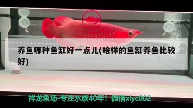 養(yǎng)魚哪種魚缸好一點(diǎn)兒(啥樣的魚缸養(yǎng)魚比較好) 魚缸清潔用具