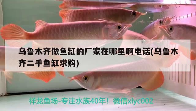 烏魯木齊做魚缸的廠家在哪里啊電話(烏魯木齊二手魚缸求購) 龍鳳鯉魚