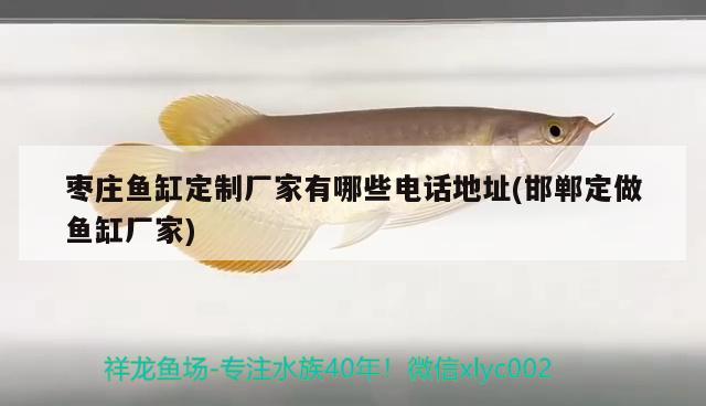 棗莊魚缸定制廠家有哪些電話地址(邯鄲定做魚缸廠家)