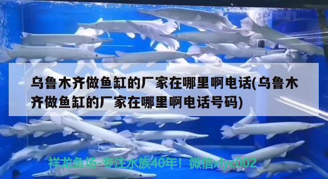 烏魯木齊做魚缸的廠家在哪里啊電話(烏魯木齊做魚缸的廠家在哪里啊電話號(hào)碼)