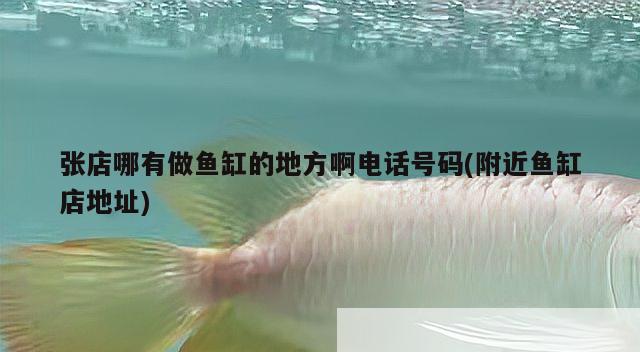 張店哪有做魚缸的地方啊電話號(hào)碼(附近魚缸店地址)