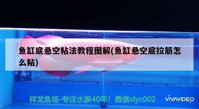 魚缸底懸空粘法教程圖解(魚缸懸空底拉筋怎么粘) 龍魚專用燈