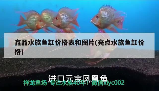 鑫品水族魚缸價(jià)格表和圖片(亮點(diǎn)水族魚缸價(jià)格)