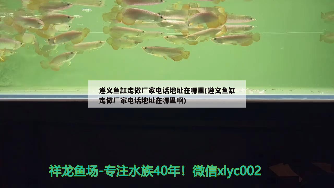 遵義魚缸定做廠家電話地址在哪里(遵義魚缸定做廠家電話地址在哪里啊)