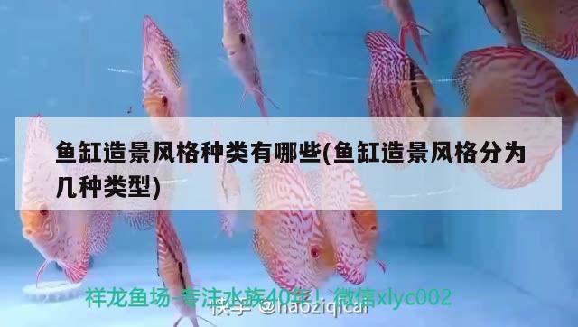 魚缸造景風(fēng)格種類有哪些(魚缸造景風(fēng)格分為幾種類型) 彩鰈魚缸（彩蝶魚缸）