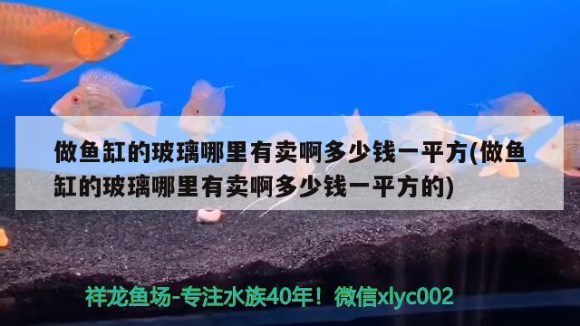 做魚缸的玻璃哪里有賣啊多少錢一平方(做魚缸的玻璃哪里有賣啊多少錢一平方的) 申古銀版魚