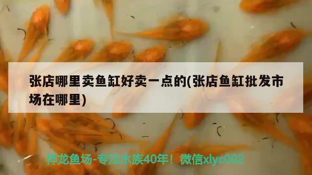 張店哪里賣魚缸好賣一點的(張店魚缸批發(fā)市場在哪里)