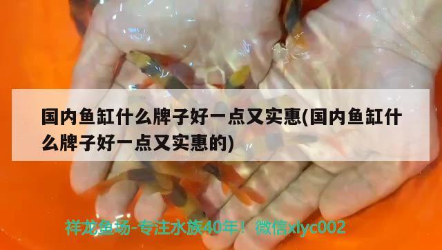 國內(nèi)魚缸什么牌子好一點又實惠(國內(nèi)魚缸什么牌子好一點又實惠的) 黑金魟魚