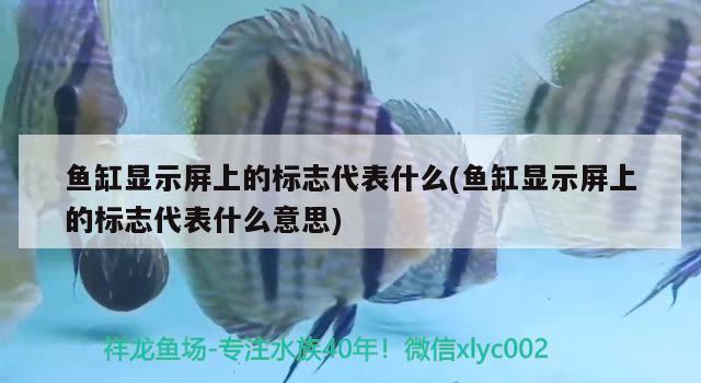 魚缸顯示屏上的標志代表什么(魚缸顯示屏上的標志代表什么意思)