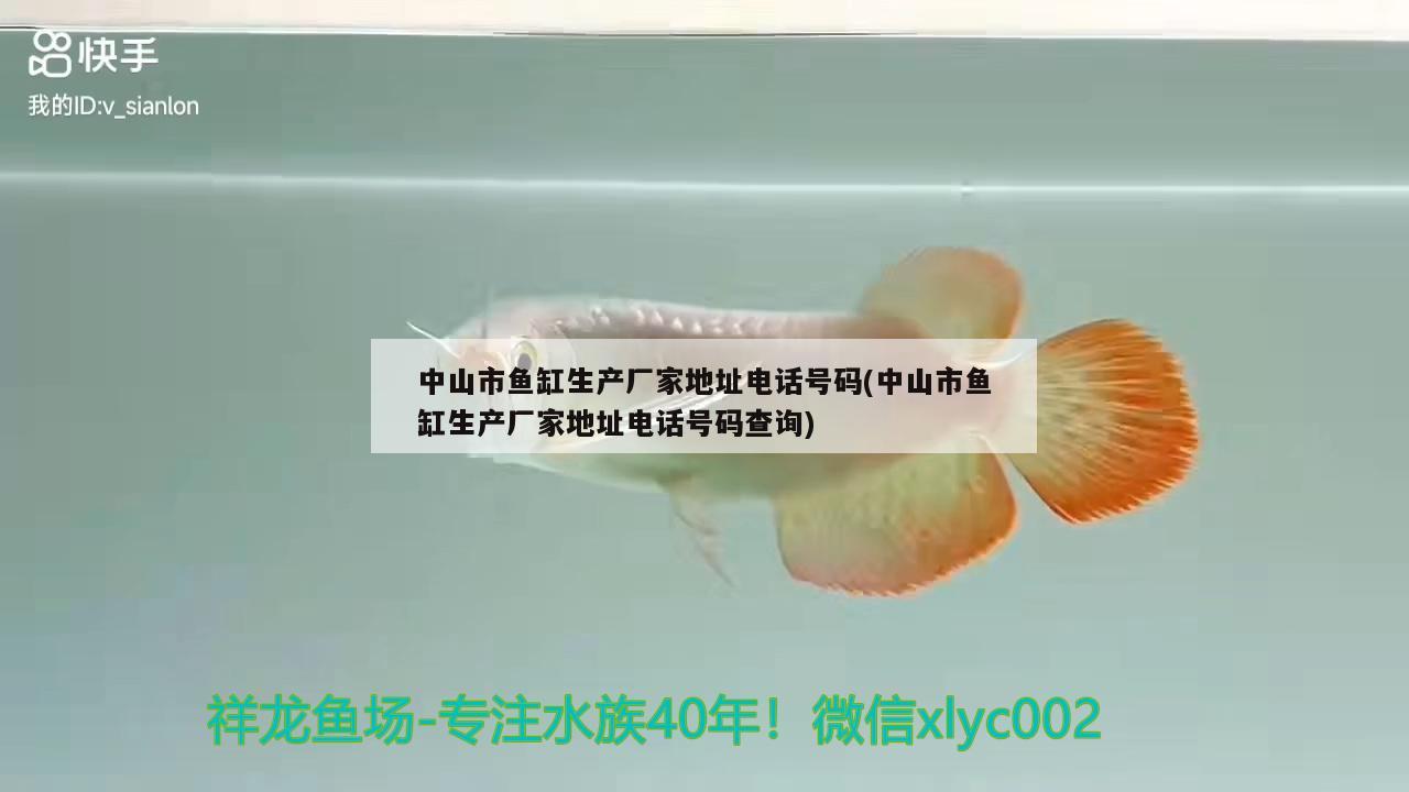 中山市魚(yú)缸生產(chǎn)廠家地址電話號(hào)碼(中山市魚(yú)缸生產(chǎn)廠家地址電話號(hào)碼查詢) 龍魚(yú)百科 第1張