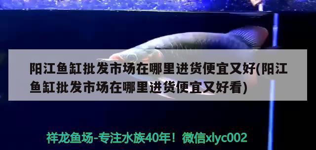 陽江魚缸批發(fā)市場在哪里進貨便宜又好(陽江魚缸批發(fā)市場在哪里進貨便宜又好看)