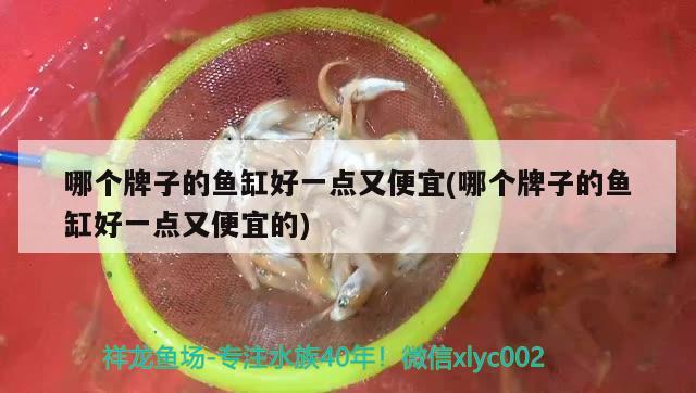 哪個牌子的魚缸好一點(diǎn)又便宜(哪個牌子的魚缸好一點(diǎn)又便宜的)