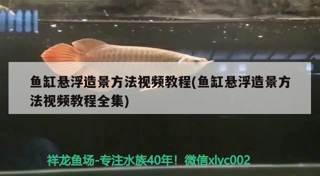 魚缸懸浮造景方法視頻教程(魚缸懸浮造景方法視頻教程全集) 紅頭利魚