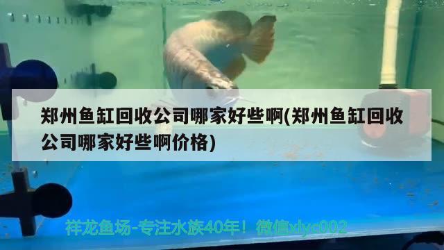 鄭州魚缸回收公司哪家好些啊(鄭州魚缸回收公司哪家好些啊價(jià)格) 國(guó)產(chǎn)元寶鳳凰魚