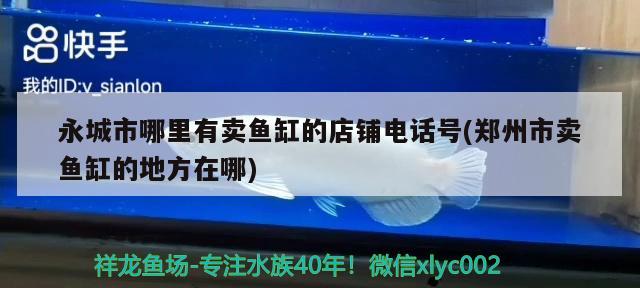 永城市哪里有賣魚缸的店鋪電話號(hào)(鄭州市賣魚缸的地方在哪) 財(cái)神鸚鵡魚