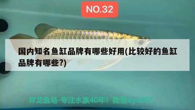 國(guó)內(nèi)知名魚缸品牌有哪些好用(比較好的魚缸品牌有哪些?) 硝化細(xì)菌