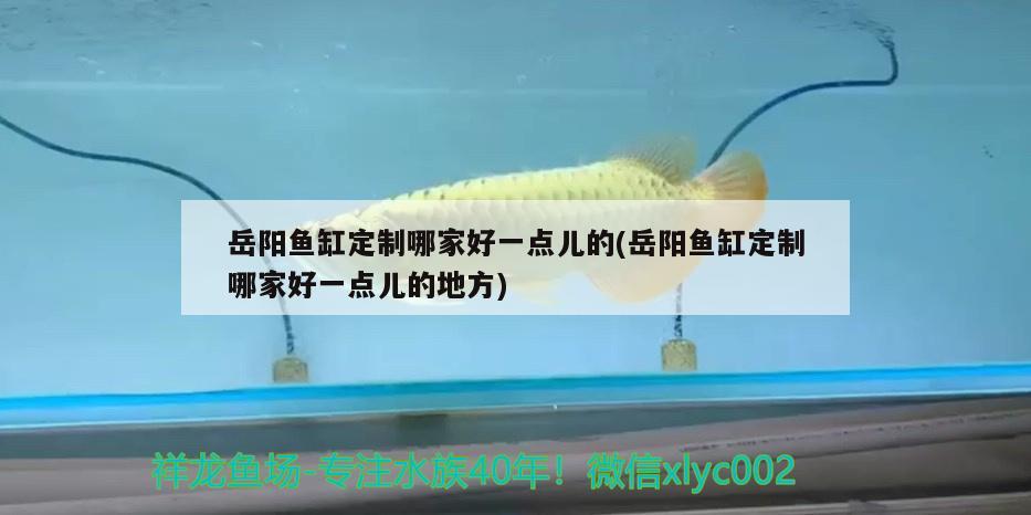 岳陽魚缸定制哪家好一點兒的(岳陽魚缸定制哪家好一點兒的地方) 三色錦鯉魚