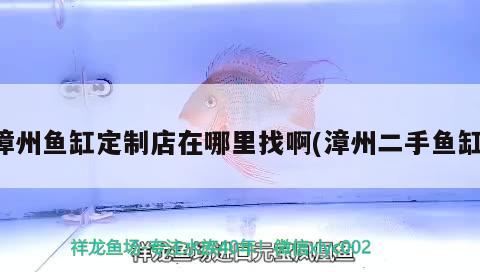 漳州魚缸定制店在哪里找啊(漳州二手魚缸)