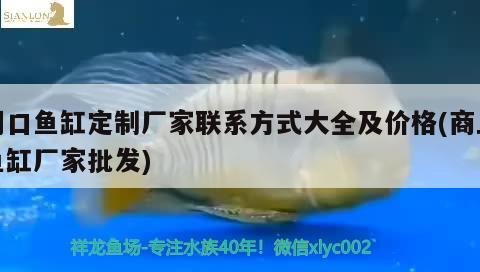 周口魚缸定制廠家聯(lián)系方式大全及價(jià)格(商丘魚缸廠家批發(fā)) 藍(lán)底過背金龍魚