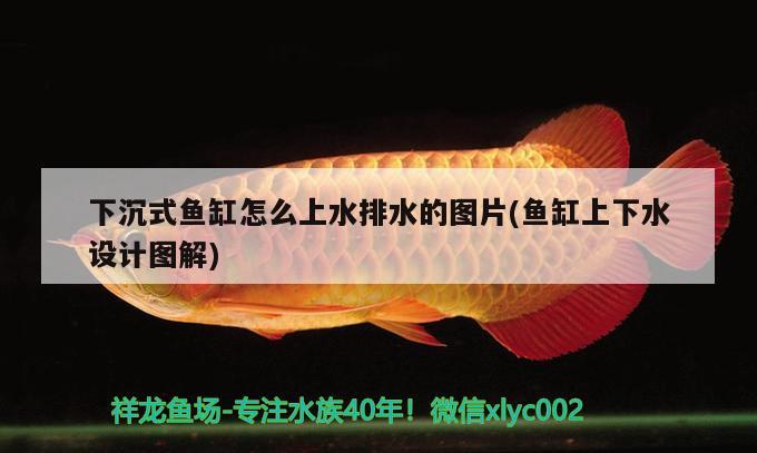 下沉式魚(yú)缸怎么上水排水的圖片(魚(yú)缸上下水設(shè)計(jì)圖解) 溫控設(shè)備