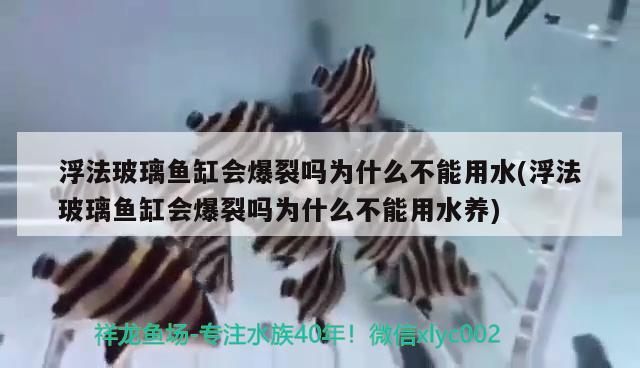 浮法玻璃魚缸會爆裂嗎為什么不能用水(浮法玻璃魚缸會爆裂嗎為什么不能用水養(yǎng))