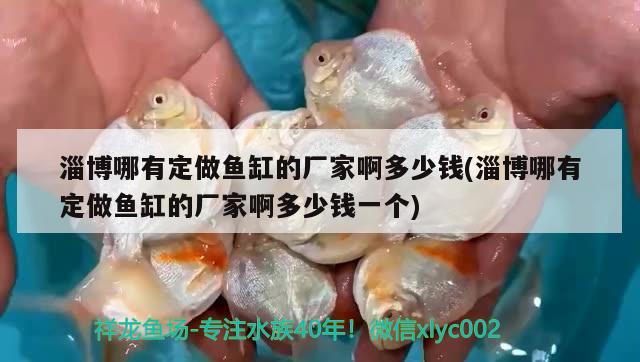 淄博哪有定做魚缸的廠家啊多少錢(淄博哪有定做魚缸的廠家啊多少錢一個) 七紋巨鯉魚