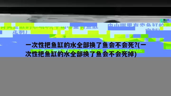 一次性把魚缸的水全部換了魚會不會死?(一次性把魚缸的水全部換了魚會不會死掉) 白子銀版魚