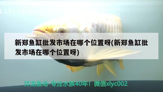 新鄭魚(yú)缸批發(fā)市場(chǎng)在哪個(gè)位置呀(新鄭魚(yú)缸批發(fā)市場(chǎng)在哪個(gè)位置呀)