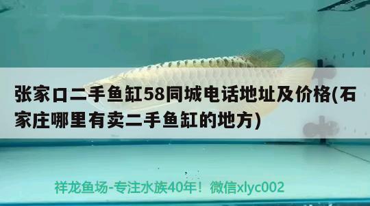 張家口二手魚(yú)缸58同城電話地址及價(jià)格(石家莊哪里有賣二手魚(yú)缸的地方) 財(cái)神鸚鵡魚(yú)