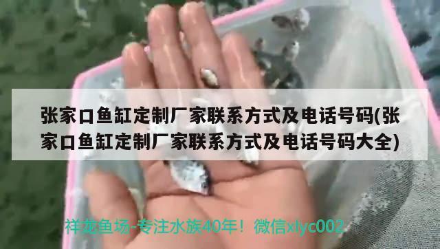 張家口魚缸定制廠家聯(lián)系方式及電話號碼(張家口魚缸定制廠家聯(lián)系方式及電話號碼大全)