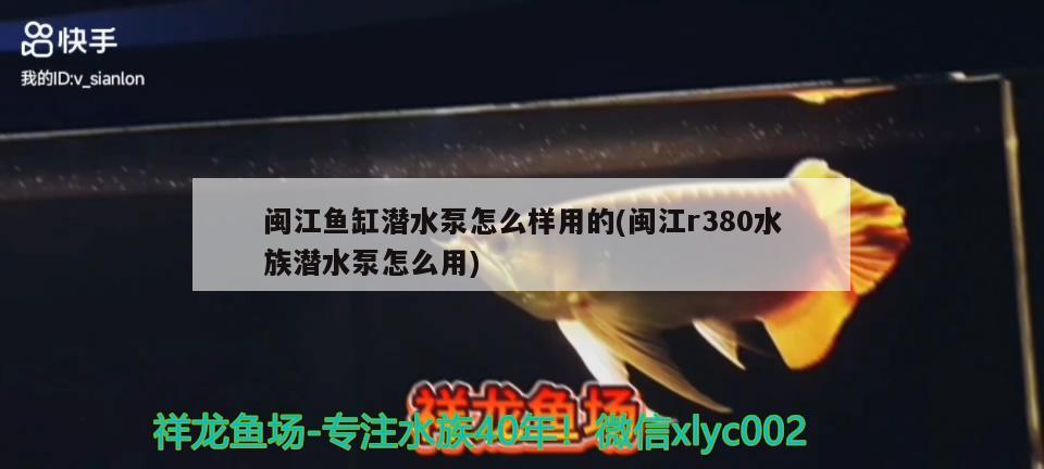 閩江魚缸潛水泵怎么樣用的(閩江r380水族潛水泵怎么用)