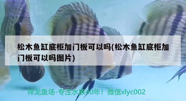 松木魚缸底柜加門板可以嗎(松木魚缸底柜加門板可以嗎圖片) 羅漢魚