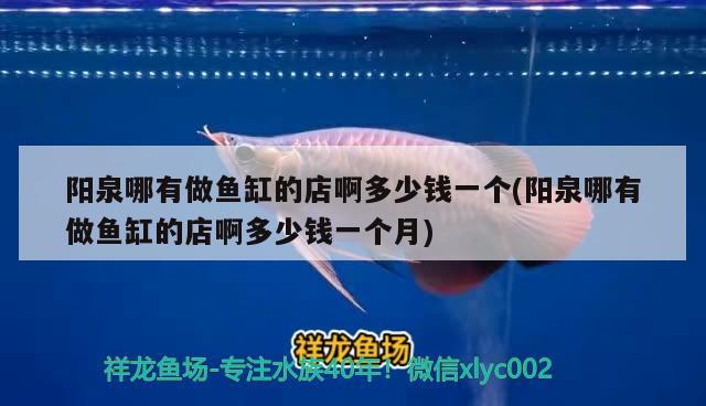 陽泉哪有做魚缸的店啊多少錢一個(陽泉哪有做魚缸的店啊多少錢一個月) 朱巴利魚