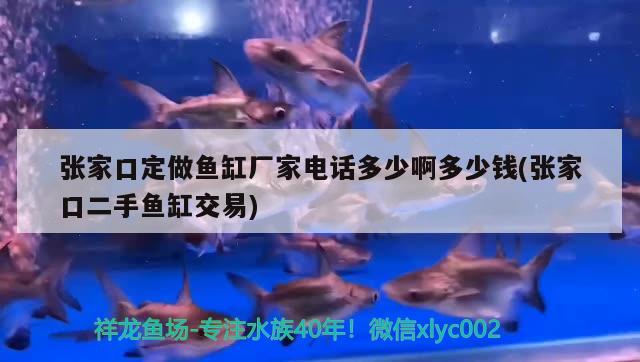 張家口定做魚缸廠家電話多少啊多少錢(張家口二手魚缸交易)